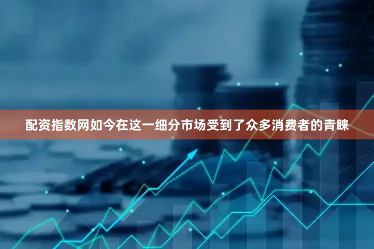 配资指数网如今在这一细分市场受到了众多消费者的青睐